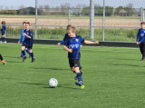 S.K.N.W.K. JO11-1JM - ST FC De Westhoek '20/Z.S.C. '62 JO11-3 (competitie) 2023-2024 (4e fase) (121/178)